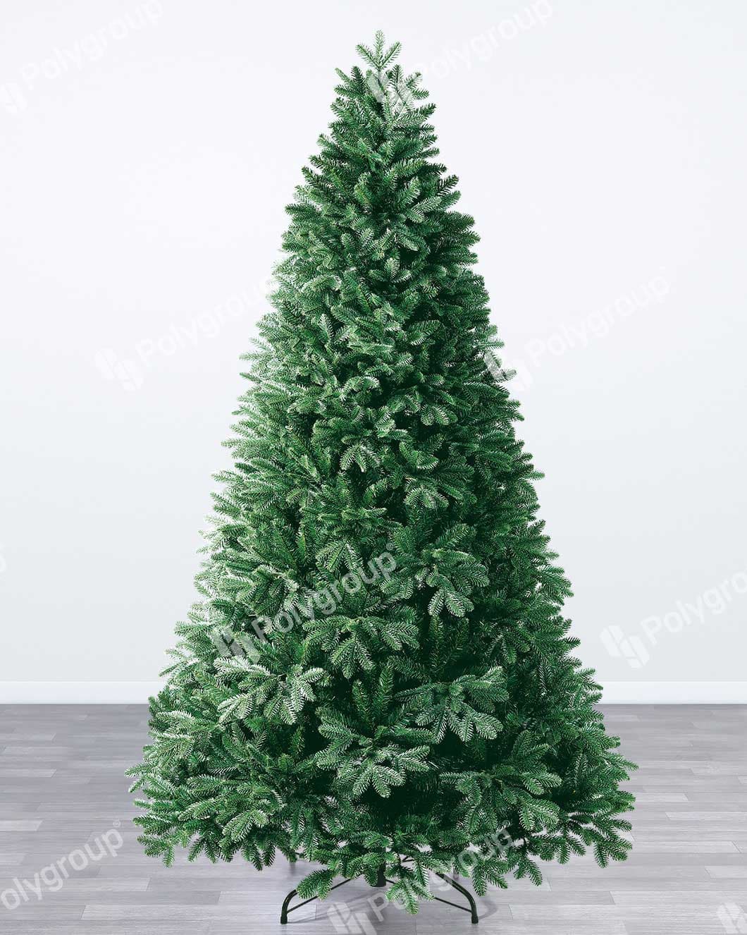 Atraktivna Jelka Evergreen Classics Falls Fir 240 cm