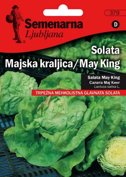 Seme 5 kesica - Zelena salata majska kraljica -  Lactuca sativa L. 379