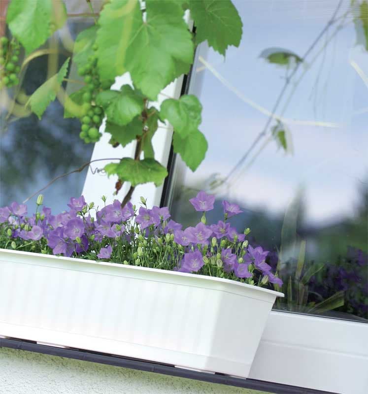Balkonska žardinjera 50cm Prosperplast IS500-S449