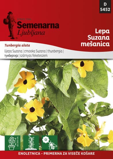 Seme za cveće Crnooka Suzana - Tunbergia alata 5452