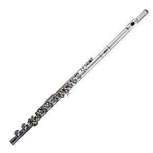 Flauta Roy Benson FL 202E Student Series  