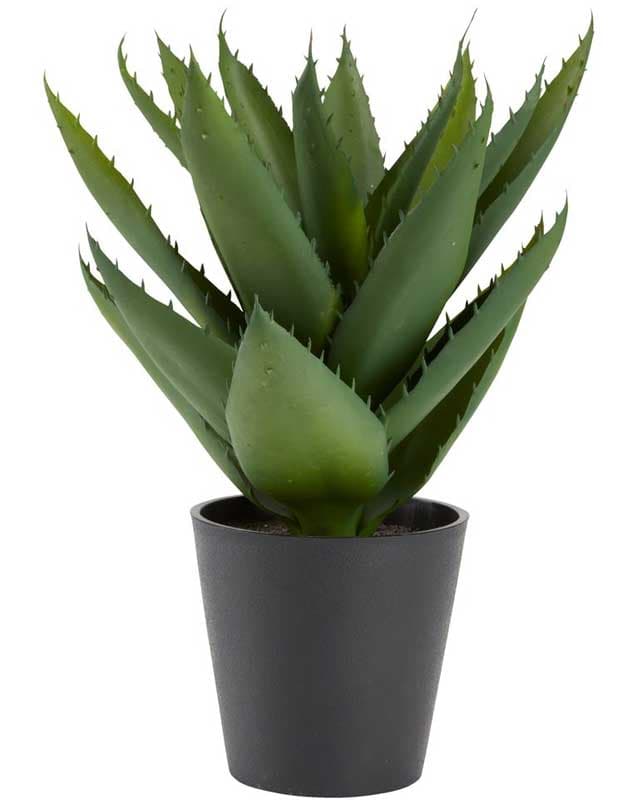 Veštačka biljka Agava V30cm