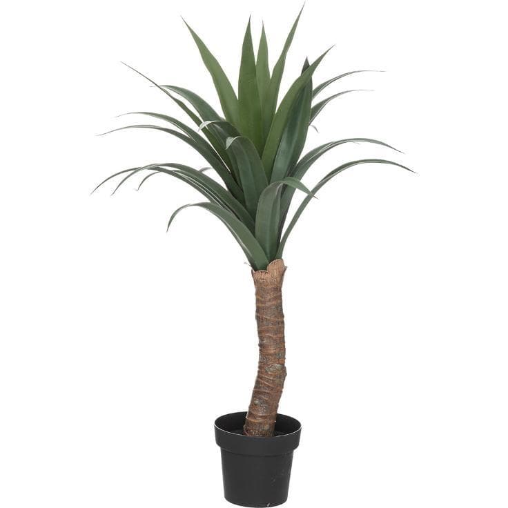 Atmosphera Dekorativna Biljka Yucca Palma