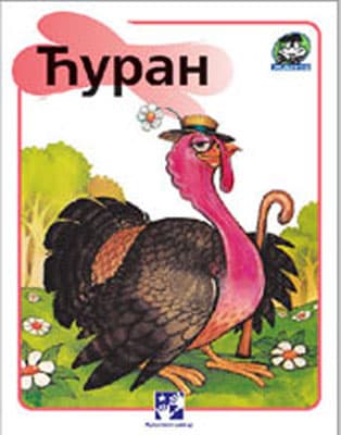 Žapče (o životinjama) - Ćuran