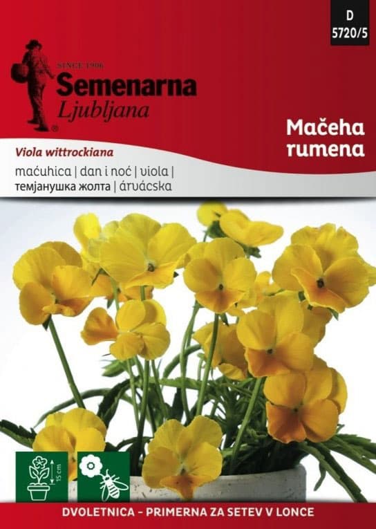 Seme za cveće 5 kesica Dan i noć - žuti - Viola wittrockiana 5720/5