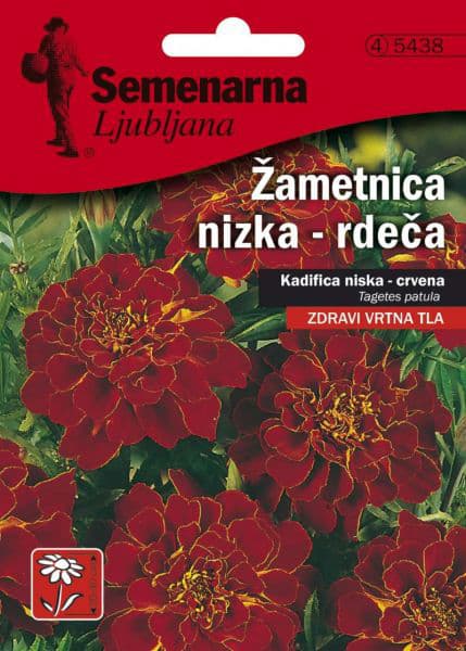 Seme za sadnju 5 kesica - cveće Kadifa niska - crvena - Tagetes patula 5438