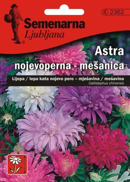 Seme 5 kesica Lepa Kata Nojevo pero - mešavina - Callistephus chinensis 2362