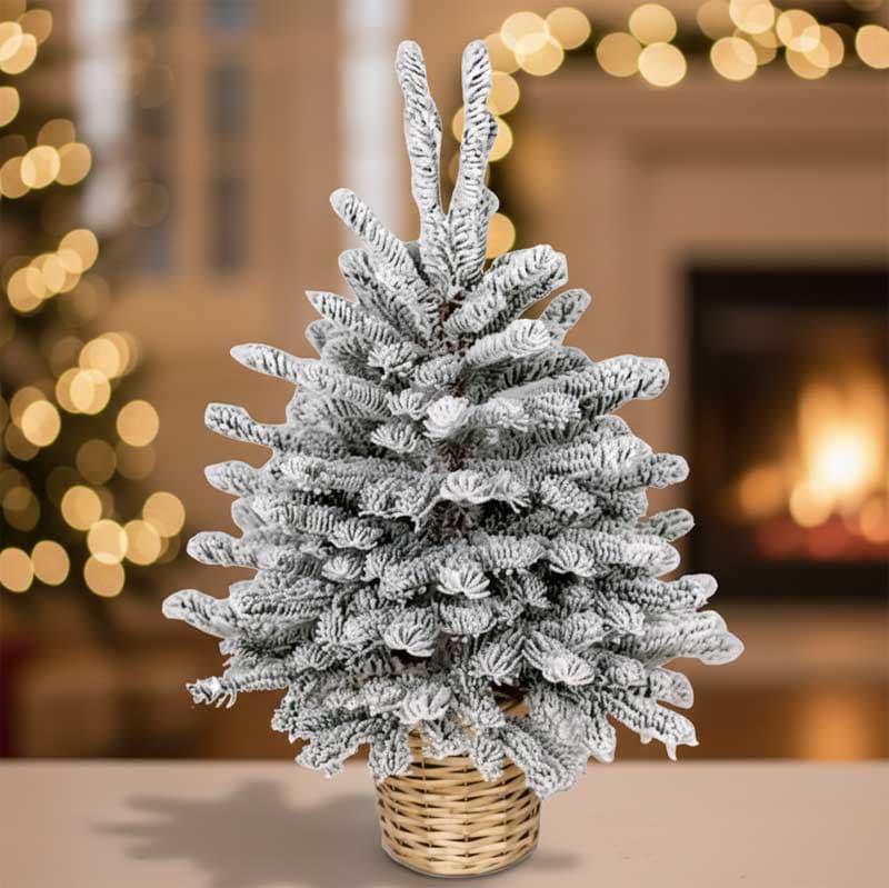 Novogodisnja bela jelka u saksiji 60cm 250308