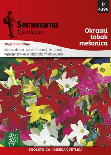 Seme za cveće 10 kesica Ukrasni duvan - mešavina - Nicotiana affinis 4396