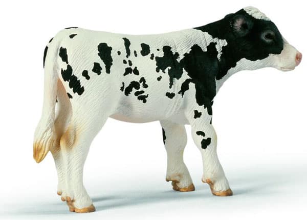 Schleich Domaće životinje - Holštajn Tele, stoji 13634