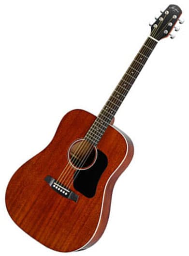 Walden Hawthorne HD221 akustična gitara