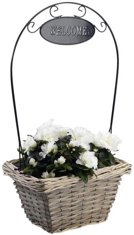 Pletena Saksija Welcome