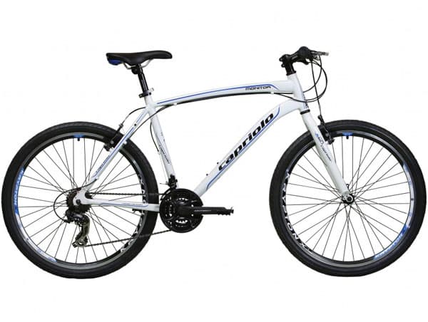 Mountain Bike MTB Monitor Man 26/21 Al bela-plava 905562-20