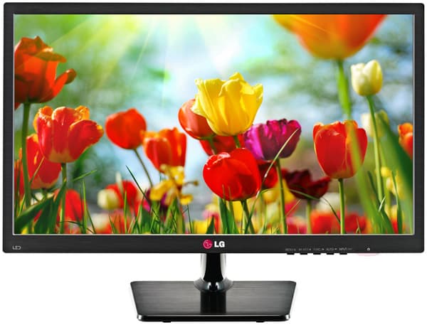 LG LED Monitor Dijagonale 49 cm 20EN33SS