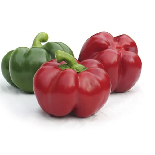 Paprika zeleni rotund - seme 10 kesica Villager 052331