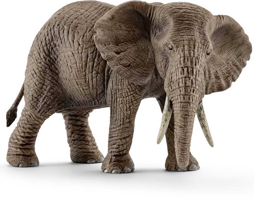 Schleich figurica - Divlje Životinje - Afrički slon - ženka