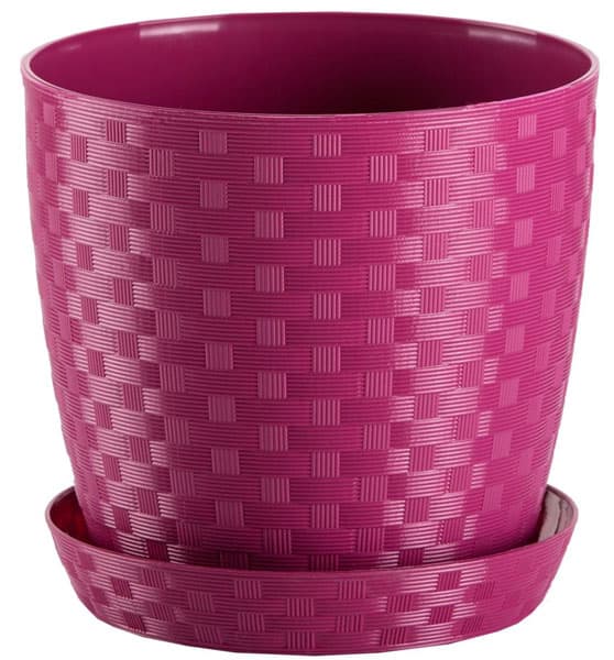 Saksija Stars ratan 25 roze