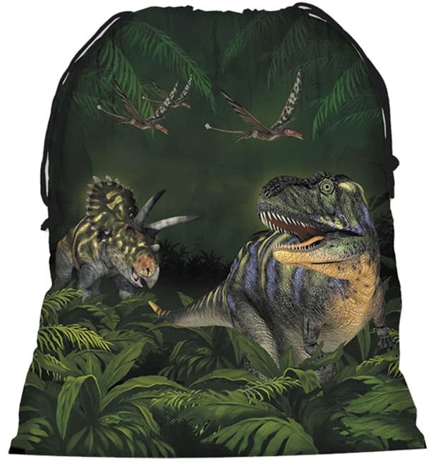 Torba za patike Dinosaurs WODN11
