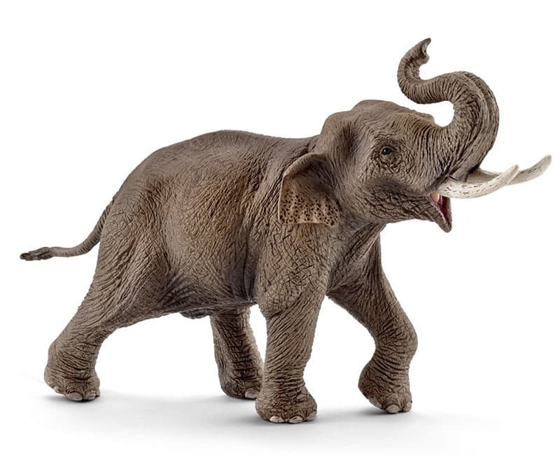 Schleich Figurice Divlje životinje - Azijski slon - mužjak -14754