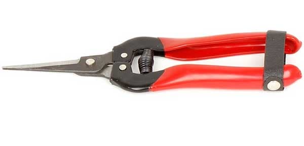 Gartenmax Makaze za vinovu lozu 200mm 0315125