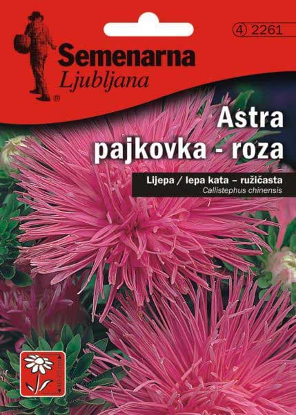 Seme Lepa Kata igličasta - pink - Callistephus chinensis spider 2261