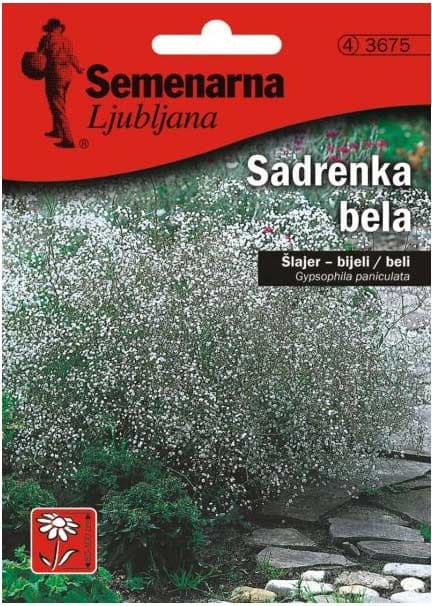 Seme za cveće Šlajer - dvogodišnji, beli - Gypsophila paniculata 3675