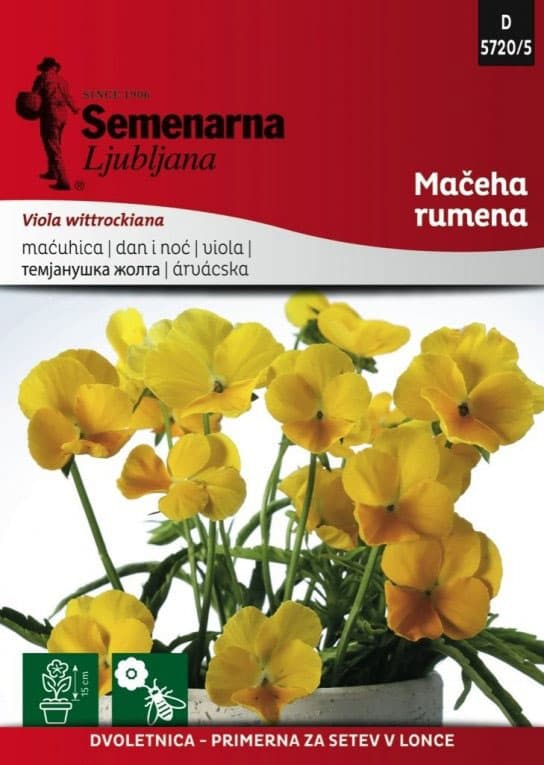 Seme za cveće Dan i noć - žuti - Viola wittrockiana 5720/5