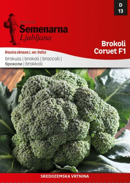 Povrće - seme - Brokoli Korvet F1- Brassica oleracea L. var. italica - 13