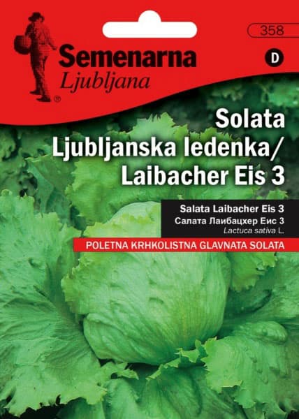 Seme - Zelena salata ljubljanska ledenka - Lactuca sativa L. 354