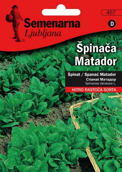 Seme - Spanać matador - Spinacea oleracea L. 467