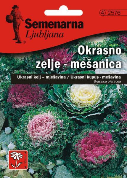 Seme za ukrasni kupus - mešavina - Brassica oleracea 2576