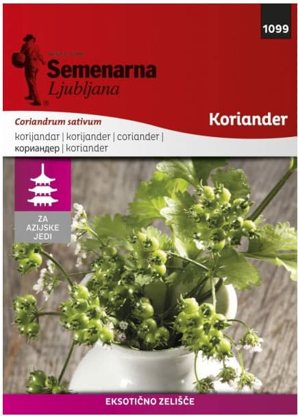 Seme za začin - Korijander - Coriandrum sativum 1099