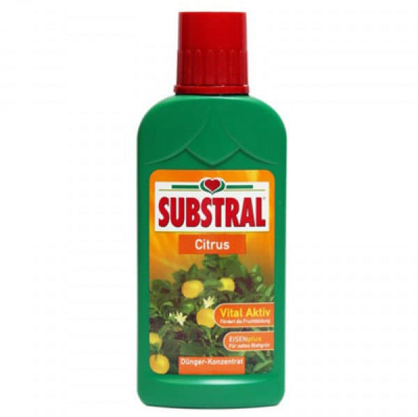 Substral Tečno đubrivo za agrume - citruse 250ml