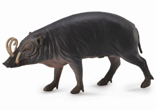 CollectA Figure Divlje životinje - Babirusa svinja CT88727