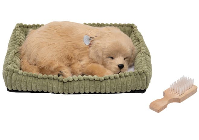 Plišani pas koji spava Sa pokretima disanja PP-Golden-Retriever
