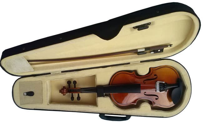 Violina Moller 1/4