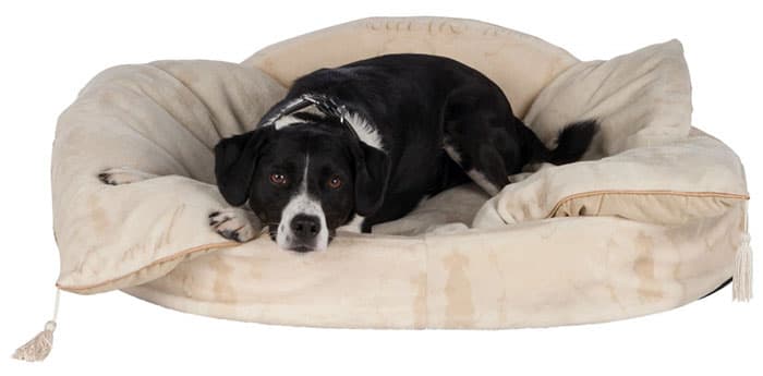 Trixie Krevet za pse King Of Dogs 70cm 38092