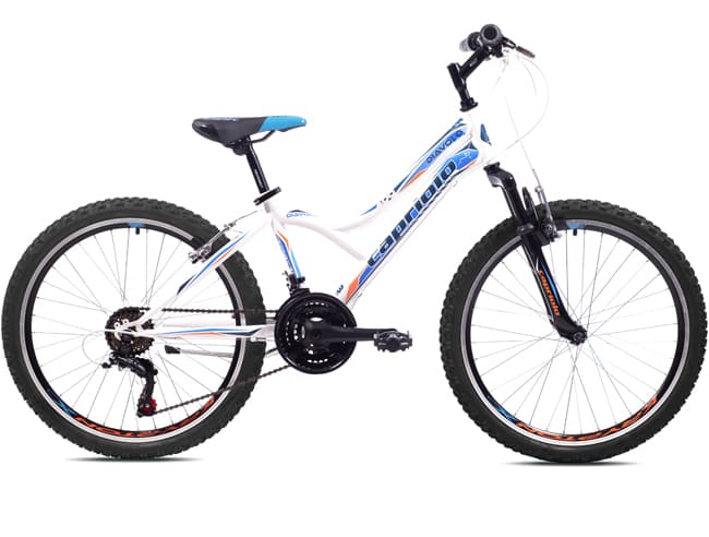 Dečiji bicikl Capriolo Diavolo 400 FS 919308-13