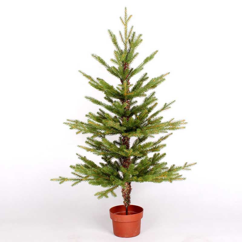 Novogodišnja jelka u saksiji 60 cm 190041