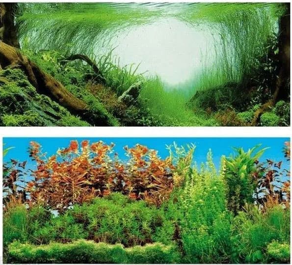 Pozadina za akvarijum dupla 120x50cm Trixie 8127