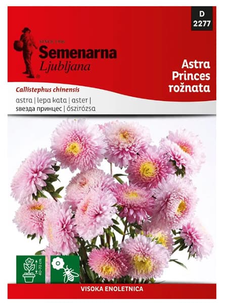 Seme Lepa Kata Princes - roze - Callistephus chinensis 2277