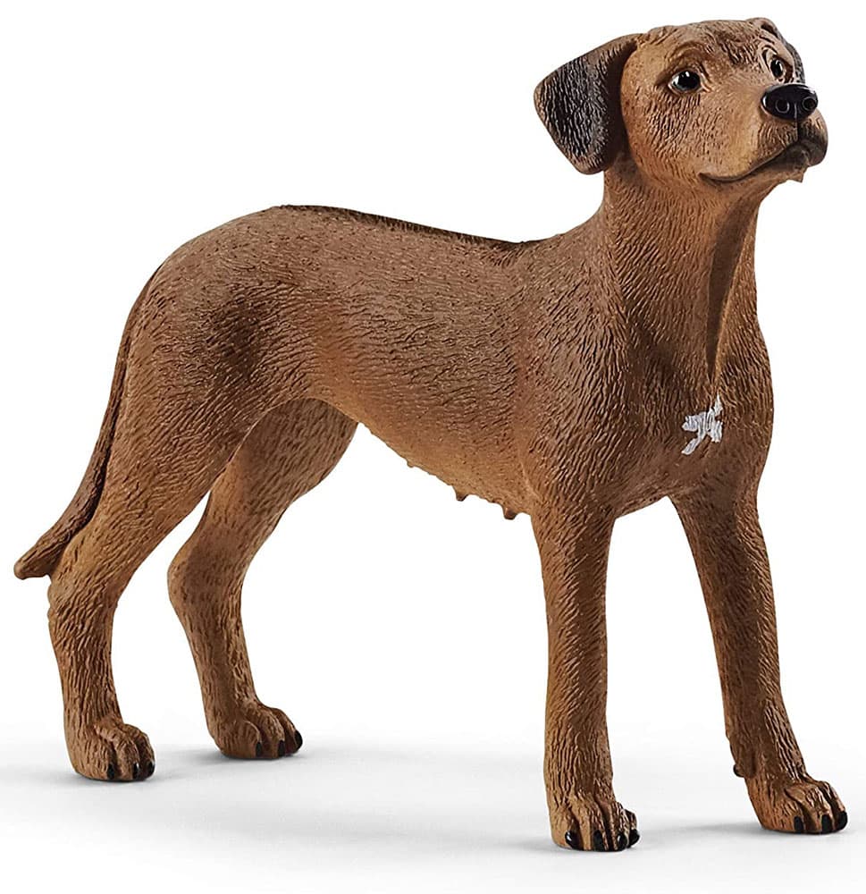 Schleich Figure Domaće životinje - Pas Rodezijski ridžbek 13895