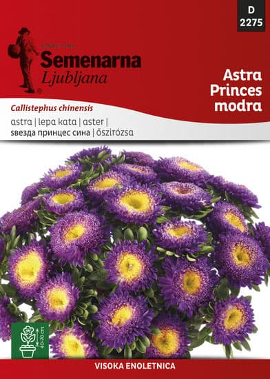 Seme Lepa Kata Princes - plava - Callistephus chinensis 2275