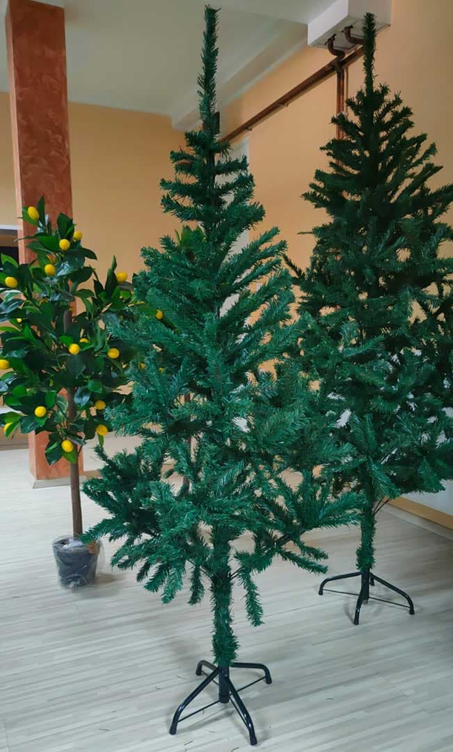 Jelka Novogodišnja 150 cm Abies Alba Sa Metalnim Postoljem
