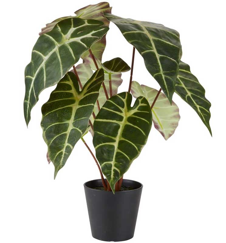 Veštačka biljka Alokasija 42cm