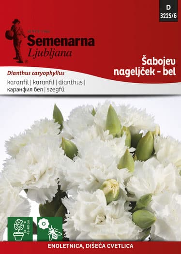 Seme za Karanfil šabo - beli - Dianthus caryophyllus 10 kesica 3225/6