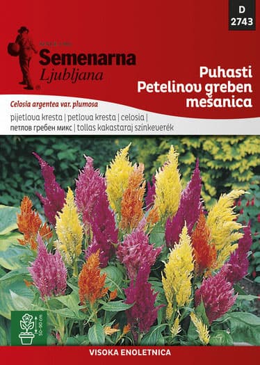 Cveće Petlova kresta paperjasta - mešavina - seme 10 kesica Celosia argentea var. plumosa 2743