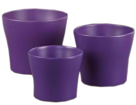 Scheurich saksija 808/19 Deep Purple SH 48546