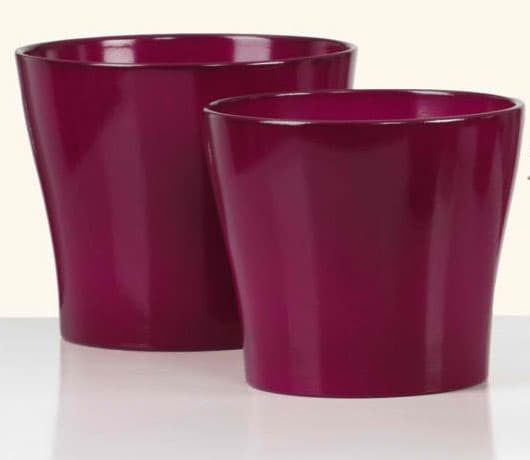 Scheurich saksija Wild Berries 808/13 SH 49858