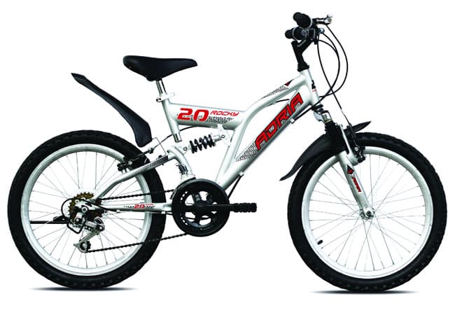 Dečiji bicikl Adria Rocky 20HT Anniversary 916005 siva